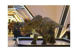 En redes sociales se compartieron imágenes de los dinosaurios que serán parte del museo.