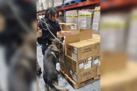 Elementos navales y el personal de aduanas identificaron los cargamentos antes de su ingreso.