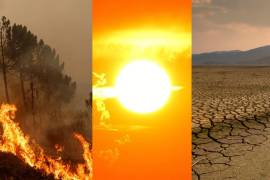 Canículas, sequías, inundaciones o incendios azotaron durante ese verano boreal Asia, Europa y América del Norte.