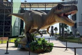 Cuatro réplicas de dinosaurios reciben a los visitantes del AIFA con una muestra del Museo del Desierto de Coahuila.