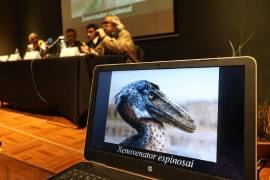 Presenta el Mude nueva especie de dinosaurio carnívoro descubierta en Coahuila