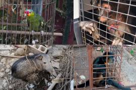 La dependencia reportó revisiones y acciones en mercados y zonas prioritarias, con casos relevantes en Oaxaca, Yucatán, Campeche y Chiapas.