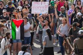 Los manifestantes antiisraelíes han pedido un alto el fuego y que sus universidades se deshagan de empresas con vínculos con Israel.