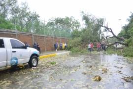 Serios daños al tendido eléctrico en 10 municipios de Sinaloa dejó a su paso la tormenta tropical Narda