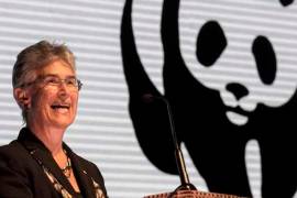 Fondo Mundial para la Naturaleza pide al Congreso no aprobar nueva ley energética de AMLO