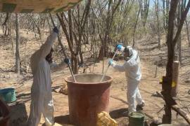 Los efectivos destruyeron 600 kilogramos de producto terminado de metanfetamina y aseguraron diversos precursores químicos.