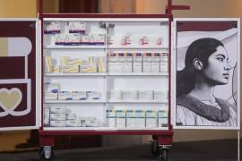 Señalan que programa es insuficiente para atender la problemática y carece de los medicamentos necesarios para garantizar una atención adecuada a los pacientes.