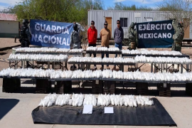 Durante las inspecciones se detectaron irregularidades en dos unidades que ingresaron al carril de revisión.