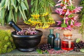 El romero y la moringa están entre las plantas más estudiadas por sus beneficios bucales.