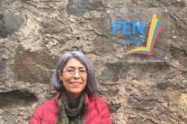 La organización ARTICLE 19 México y Centroamérica pidió a autoridades indagar bajo protocolo de delitos contra libertad de expresión y perspectiva de género.