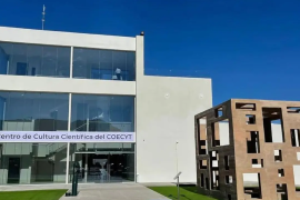 Según Mario Valdés, el consejo estatal recibe apenas el 0.2% del presupuesto, muy por debajo de lo recomendado por organismos internacionales como la UNESCO.