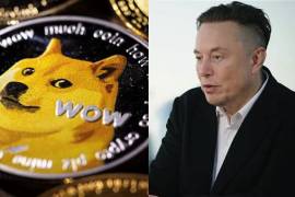 Elon Musk anuncia que Tesla aceptará Dogecoins para ‘algunos productos’