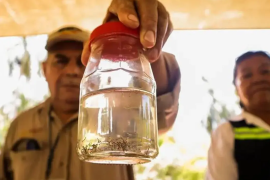 Los diagnósticos de casos de dengue con signos de alarma pasaron de once a 52 en el verano. En estos casos la vida se encuentra en riesgo ya que se presentan hemorragias y deshidratación severa.