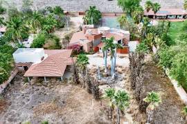 En la finca hay palmeras, cancha de tenis, habitaciones y una alberca abandonada, pues desde 2024 nadie ha entrado al lugar, ubicado a las afueras de Culiacán.