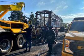 Revelan que los agresores escaparon hacia zonas rurales, mientras las autoridades intensificaron búsquedas por aire y tierra.