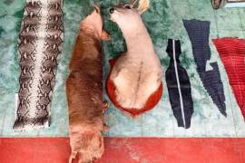 La acción derivó de una denuncia ciudadana sobre la caza, elaboración y comercialización de huaraches, bolsas y cinturones confeccionados con pieles de especies protegidas