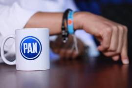 La comisión propuesta tendría facultades para investigar, documentar e identificar patrones de agresión