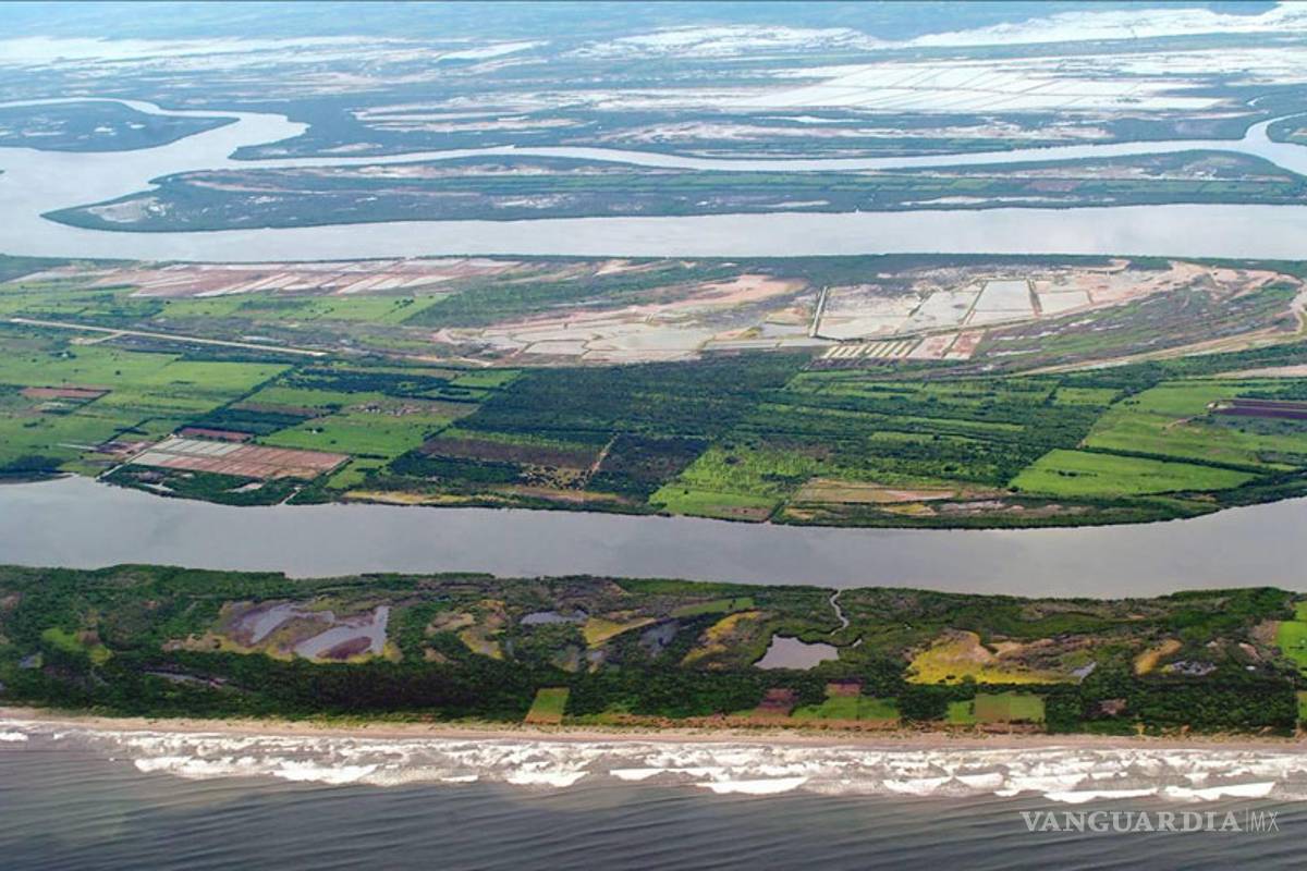 Marismas Nacionales podría sufrir devastación como Tajamar