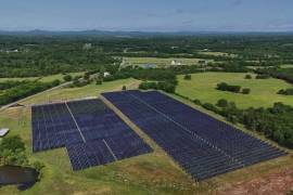 Paneles solares en funcionamiento en una granja con ganado el martes 28 de abril de 2026, en Christiana, Tennessee.