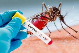 El dengue es una enfermedad viral transmitida principalmente por el mosquito Aedes aegypti, conocido por su capacidad de reproducirse en zonas urbanas y áreas con agua estancada