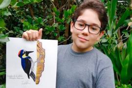 En esta foto de agosto de 2020, Jacobo Rendon, de 14 años, posa con su ilustración de un pájaro carpintero bellota en su patio trasero en El Camino de Viboral, Colombia. Rendon ha estado trabajando en una guía de aves fotográfica e ilustrada que planea donar a un centro cultural local. AP/Johana Reyes Herrera