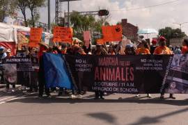 La movilización, convocada por colectivos animalistas, tenía previsto permanecer en los alrededores del mercado.
