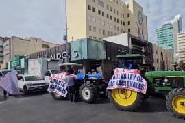 Aseveran que la propuesta enviada recientemente por la presidenta Claudia Sheinbaum al Congreso de la Unión impactaría negativamente al campo mexicano.