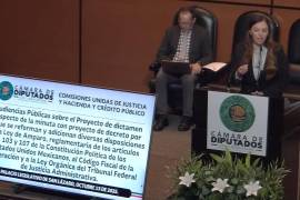 Nueve expertos se pronunciaron en contra de la iniciativa y coincidieron en que la propuesta distorsiona la figura de la suspensión.