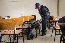 La Universidad Autónoma de Coahuila descartó operativos mochila generalizados y señaló que solo se aplicarían en casos donde exista un riesgo real para la comunidad estudiantil.
