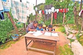 En los últimos años el porcentaje de población de tres a 29 años con ingreso inferior a la línea de pobreza que asiste a educación pública obligatoria y recibe beca disminuyó de 28.2% en 2016 a 22.7% en 2020 y a 25.9% en 2022.