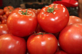 ¿Cuánto perderán productores mexicanos de tomate por arancel de Estados Unidos?