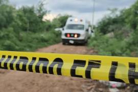 Los colectivos “Hasta Traerlos a Casa” y “Buscándote Luis Alán SM” dieron a conocer la localización del cuerpo.
