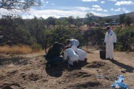 Encuentran más de 2 mil fragmentos óseos en el Rancho Dolores, en Chihuahua
