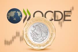 Esta perspectiva seda en un año en el que se espera moderado crecimiento mundial por el impacto de la guerra en Medio Oriente