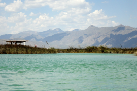 La región que rodea Saltillo cuenta con una variedad de destinos cercanos que ofrecen hermosos lugares naturales para nadar.