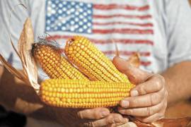 Estados Unidos hará todo lo posible para encontrar una solución a la prohibición de importaciones de maíz transgénico en México