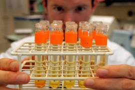 El IMMUS realiza entre mil y mil 200 pruebas antidoping al año a operadores de taxis y transporte público.