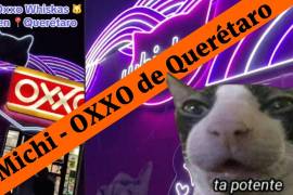 Whiskas y OXXO decoran tienda en Querétaro. Fachada de tienda se hace viral en redes sociales.
