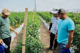El panel de egresados destacados compartirá experiencias con nuevas generaciones de horticultores.
