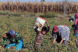 De cada 100 jornaleros en México, solo 7 reciben un aguinaldo y tienen vacaciones pagadas