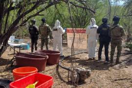 El equipo y los accesorios hallados en el sitio fueron inhabilitados para impedir que volvieran a utilizarse.