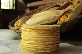 Se espera que en agosto 2022, el kilo de tortilla de maíz pase de los 22 pesos a 30 pesos, debido a que el costo de la tonelada de harina de maíz