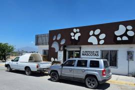 Las brigadas de salud animal recorrieron 18 ejidos de Ramos Arizpe, donde aplicaron vacunas antirrábicas y tratamientos preventivos a perros y gatos.