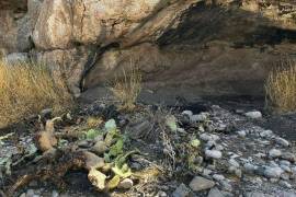 Cueva Pinta y Cueva Pinta VI, en Cuatro Ciénegas, sufrieron daños por la extracción de fragmentos con arte rupestre.