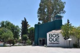 El Municipio reutiliza árboles naturales para conservar la humedad del suelo y fortalecer el arbolado urbano.