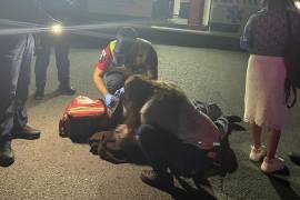 Paramédicos trasladaron al menor y al adulto mayor al Hospital General para su atención.