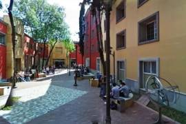 Joven alumno del ITAM se suicida; se cree que fue por presión académica