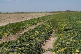 Desde el año pasado se realizaron ajustes en la operación del distrito de riego, incluyendo análisis técnicos y manejo integral de la zona compacta.