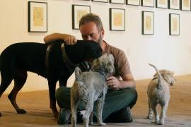 Lomitos que ven arte: Museo de Querétaro se vuelve pet-friendly