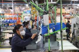 El IGAE y sus actividades económicas se dan a conocer aproximadamente ocho semanas después de terminado el mes de referencia.
